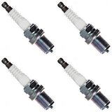 NGK Spark Plug Nickel Box of 4 R5671A-10