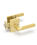 Asidrama 1 Pack Brushed Gold Passage Door Handles, Door Lever with Door Knobs Indoor for Bedroom or Bathroom, Heavy Duty Door Ha