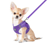 FEimaX Dog Harness and Leash Set, No-Pull Breathable Soft Mesh Puppy Vest Harness Reflective Adjustable Pet Harnesses for Small Medium Dogs and Cats - Outdoor Easy Control for Walking (M, Purple)