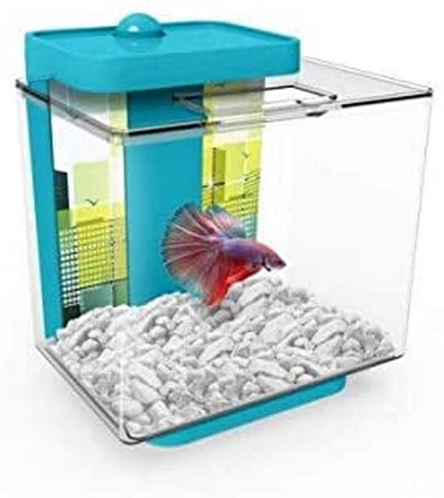 1.35 Gallon Betta Aquarium Provides no Mess, no Stress Maintenance and Includes decoractive Double-Sided Background and Pebbles