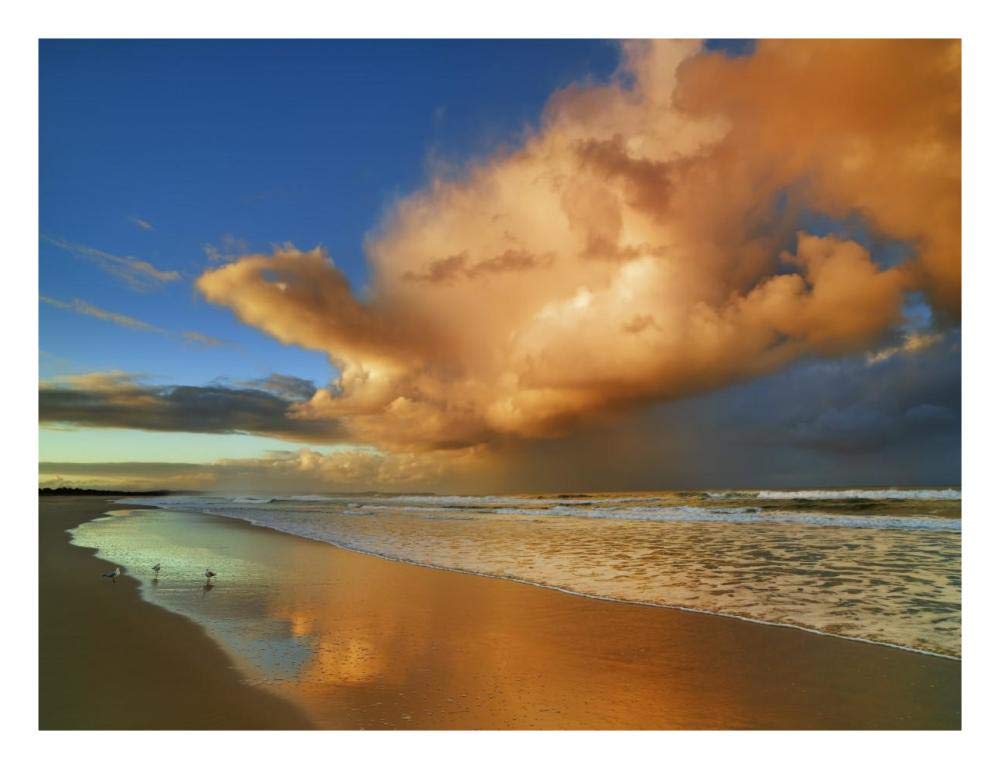 Sunset On The Ocean, New South Wales, Australia-Paper Art-26,,X20,,