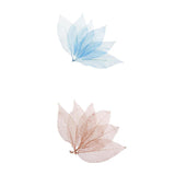 The Style Sutra 100Pcs Natural Magnolia Skeleton Leaf Card Scrapbook Leaves Blue and Brown |Crafts | Scrapbooking & Paper Crafts