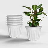 Yuccabe Italia Shera Floot 12 Inch Plastic Flower Pot 6 Piece Set Of Round Shape Planter For Home Garden Seedling Planter For Po