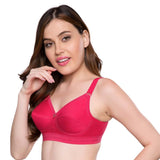 Trylo Namrata Bra Combo-42-Rasberry-C-Cup - Pack Of-2,RASBERRY,42,B0F1MXZ8QH