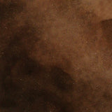 Concrete Acid StainSemi-Transparent Professional Grade Cement Stain (Black Walnut, 16 Ounce)