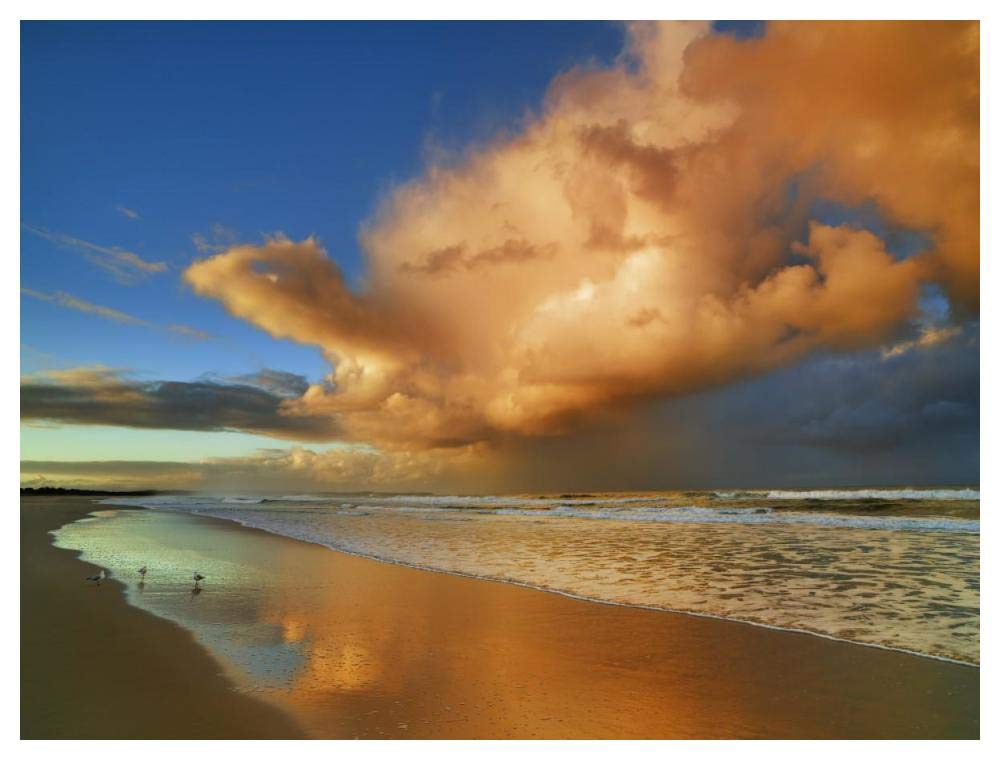 Sunset On The Ocean, New South Wales, Australia-Paper Art-50,,X38,,