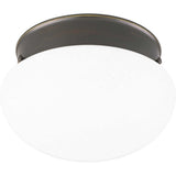 Progress Lighting P3410-20 2-Light Close-To-Ceiling Fixture, Antique Bronze