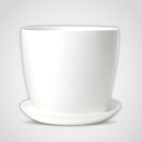 Pot And Bloom White Plant Pot With Plate 115 Mm, Plastic Planter