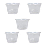 Koo Retails Orchid Hydroponics Pot, Semi Transparent, Set Of 5 Pcs, 8 Inch Dia.