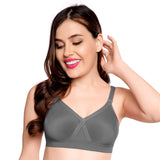 Trylo Alpa 38 Grey D - Cup,GREY,38,B0CMTCLX7T