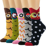 Galox Cute Owl Pattern Cotton Crew Socks For Women, Colorful Animal Pattern 5 Pair Novelty Socks For Girls