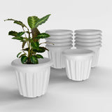 Yuccabe Italia Shera Floot 12 Inch Plastic Flower Pot 12 Piece Set Of Round Shape Planter For Home Garden Seedling Planter For P