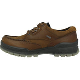 ECCO Men's Track 25 Low Gore-tex Waterproof Hiking Shoe, Bison/Bison Oil Nubuck, 10-10.5