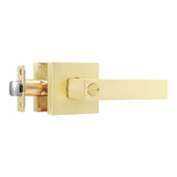 Leydebong 1 Pack Gold Door Handle, Privacy Door Lock for Bedroom/Bathroom, Heavy Duty Door Knobs Interior, Brushed Gold Door Lev