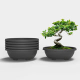 Yuccabe Italia Shera 12 Inch Botanica Bonsai Tray Planter Pot With Drainage Holes Wide Shallow Bonsai Pot Durable UvProtected P