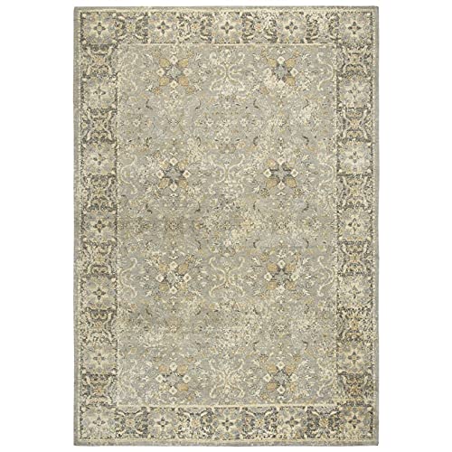 Alora Decor Euphoria 3' X 5' Persian/Classic Gray/Gray/Rust/Blue Hybrid Area Rug