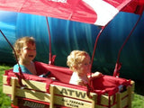 Radio Flyer Wagon Canopy