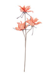 Kalalou Csl2345 Botanica, See Image