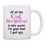 ThisWear Stepmom Gifts Of All the Evil Step Mothers I'm Glad I Got You Mothers Day Gifts for Stepmom Gift 11oz Ceramic Coffee Mu