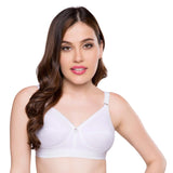 Trylo Namrata Bra Combo-38-White-C-Cup - Pack Of-2,WHITE,38,B0F1MYQYLW