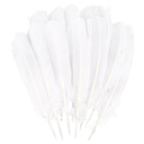 Daieeparty 12pcs White Wild Turkey Tails Feathers 10-12inch for DIY Crafts Home Wedding Party Halloween Costume Hat Decoration