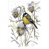 Ecomistiq Animals Birds Stamped Stitch Kits Dimensions For Adults 29 X 37Cm 14Ct | Stitch Kits | Hand Embroidery Kits | Embroide