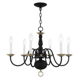 Livex Lighting 5006-04 Williamsburgh 6 Light Black Chandelier, Black/Antique Brass