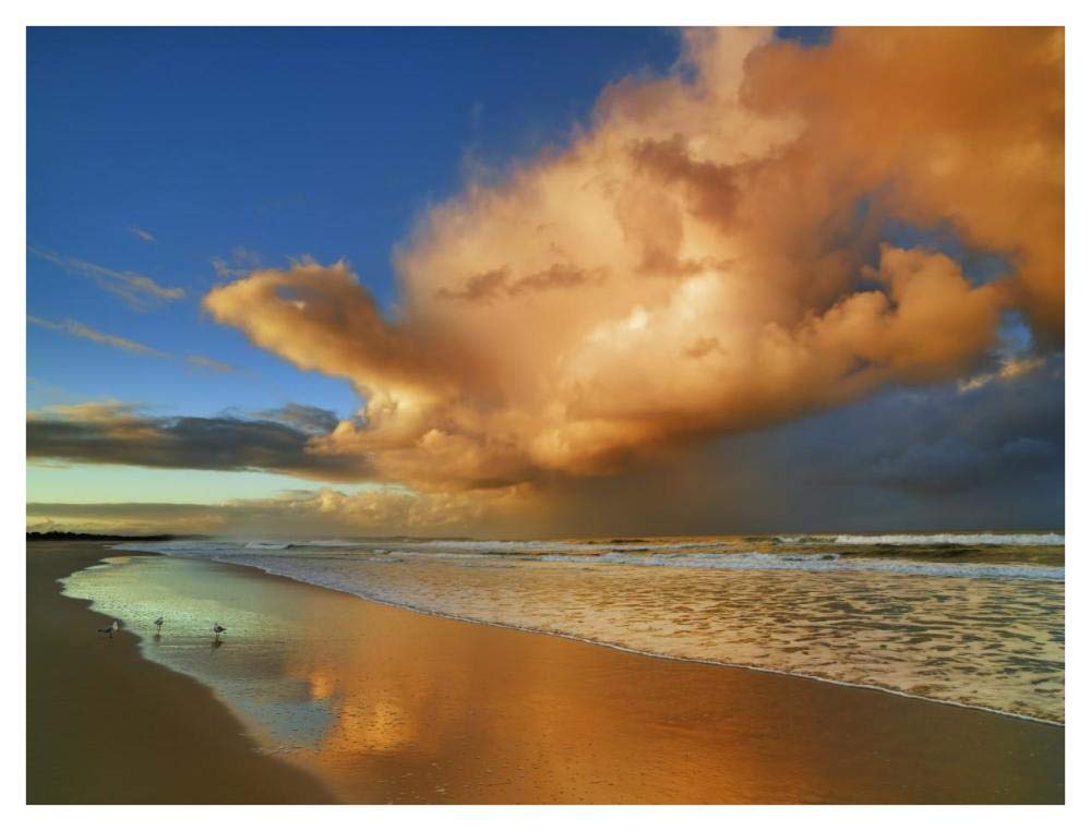 Sunset On The Ocean, New South Wales, Australia-Paper Art-42,,X32,,