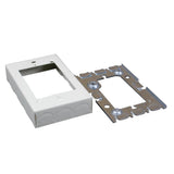 Box Starter 1Gng Mtl Ivy (Pack Of 1)