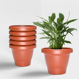 Yuccabe Italia Shera Sd 12 Inch Pack Of 6 Pcs Plastic Flower Pot Unbreakable Round Shape Planter Plastic Gamle For Garden Seedli