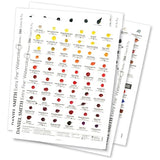 Daniel Smith 266 Color Watercolor Dot Card