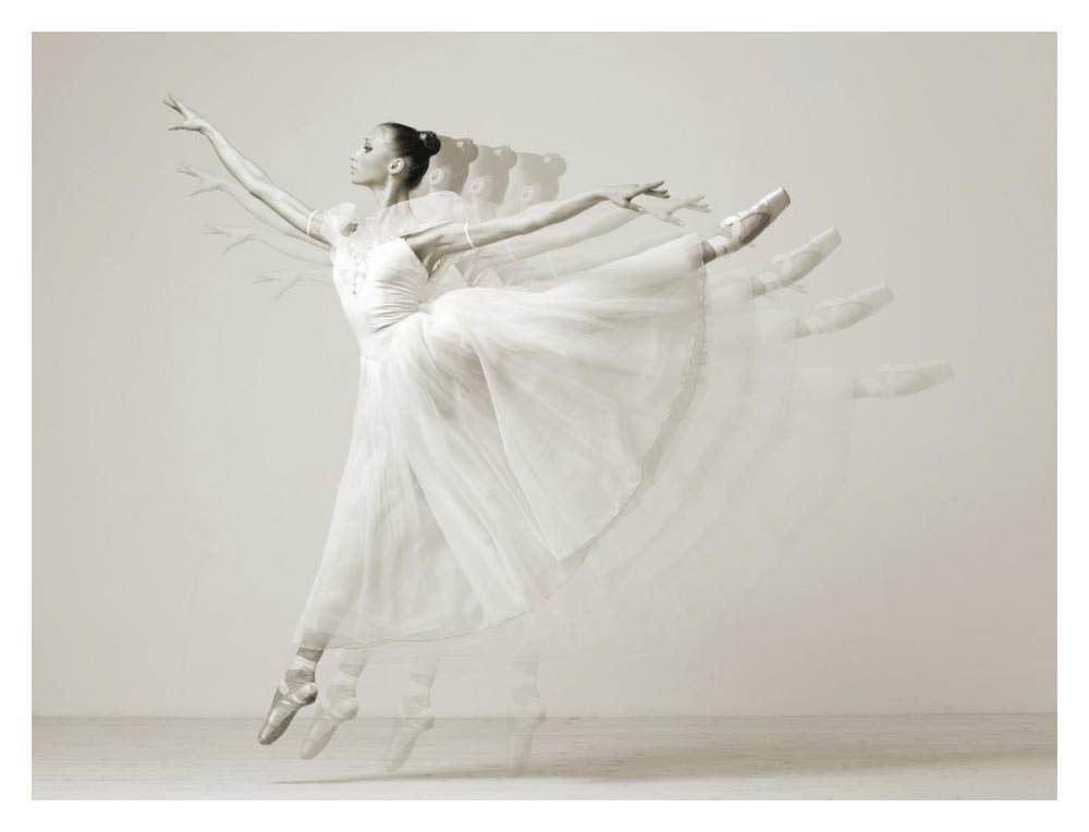 Leaping Beauty-Paper Art-18,,X14,,