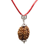 Arihant Gems & Jewels 2 Mukhi/Faced Indian Rudraksha With 925 Sterling Silver Trishul Pendant 100% Natural, Original Astrologica