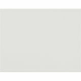 Pacon Corporation 54602 Poster Board, 4Ply, 22Inch x28Inch , 50 Sheets/CT, White
