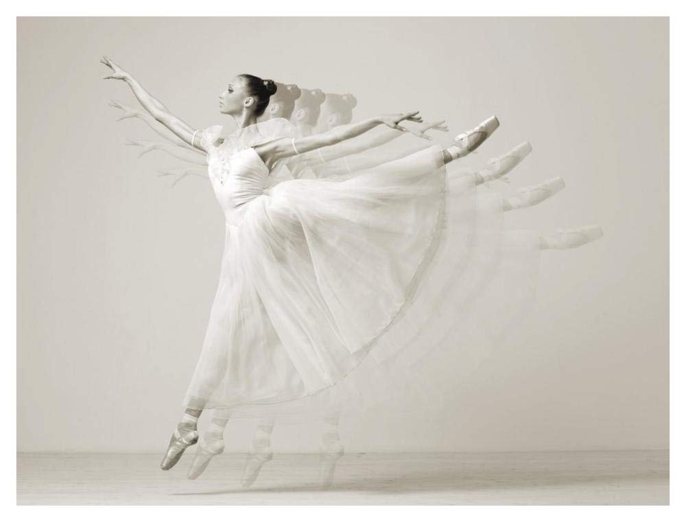 Leaping Beauty-Paper Art-42,,X32,,