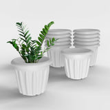 Yuccabe Italia Shera Floot 10 Inch Plastic Flower Pot 12 Piece Set Of Round Shape Planter For Home Garden Seedling Planter For P