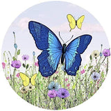 Screen Door Magnets Double Sided - Keep People, Kids, and Dogs from Running into a Screen Door. Saver - Robbins Aria Butterfly