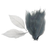 HEAVENGLOW 100 Pieces Natural Magnolia Skeleton Leaf Leaves Scrapbooking Grey WhiteCrafts|Scrapbooking & Paper Crafts|Scrapbooki