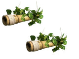 Rare Oceans Hanging Bamboo Flower Pot (Pack Of 2)