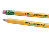 Dixon Ticonderoga Company Beginners Pencil, No. 2 Soft, Round, W/Eraser, Yellow
