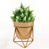 Homssy Small Pot With Golden Stand, Elegant Decorative Planter For Indoor And Outdoor Use (36)