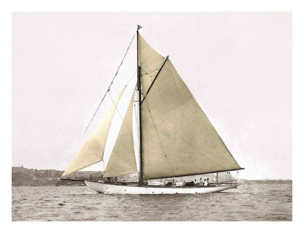 Yacht On Sydney Harbour-Paper Art-26,,X20,,