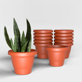 Yuccabe Italia Shera Sd 10 Inch Pack Of 12 Pcs Plastic Flower Pot Unbreakable Round Shape Planter Plastic Gamle For Garden Seedl