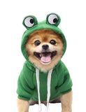 Xiaoyu Pet Clothes Dog Hoodies Warm Sweatshirt Coat Puppy Autumn Winter Apparel Jumpsuit With Eye Hood, Frog, L
