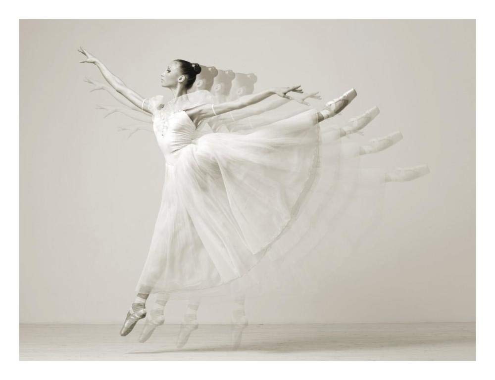 Leaping Beauty-Paper Art-26,,X20,,