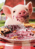Party Pig Pie Plate Avanti Birthday Card