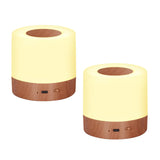 LHYueTong 2 Pack LED Touch Bedside Table Lamp,13 RGB Colors & 5 Brightness, USB Rechargeable, Remote Control Dimmable Night Ligh