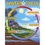 The Water Cycle Chart [Set of 3]
