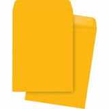 Business Source 42104 Catalog Envelopes, 20Lb., 9Inch x12Inch , 250/BX, Kraft