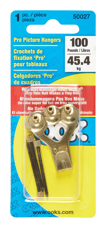 Hanger Pict 00K 100# Cd1 (Pack Of 1)